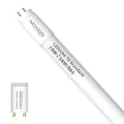 Noxion LED Buis T8 Avant (EM/Mains) Standard Output 22W 2300lm - 865 Daglicht | 150cm - Vervangt 58W